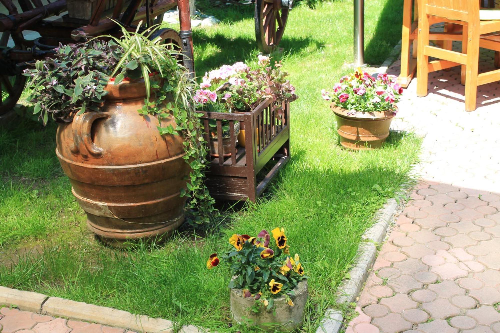 Pension Tip-Top Târgu-Mureş Esterno foto