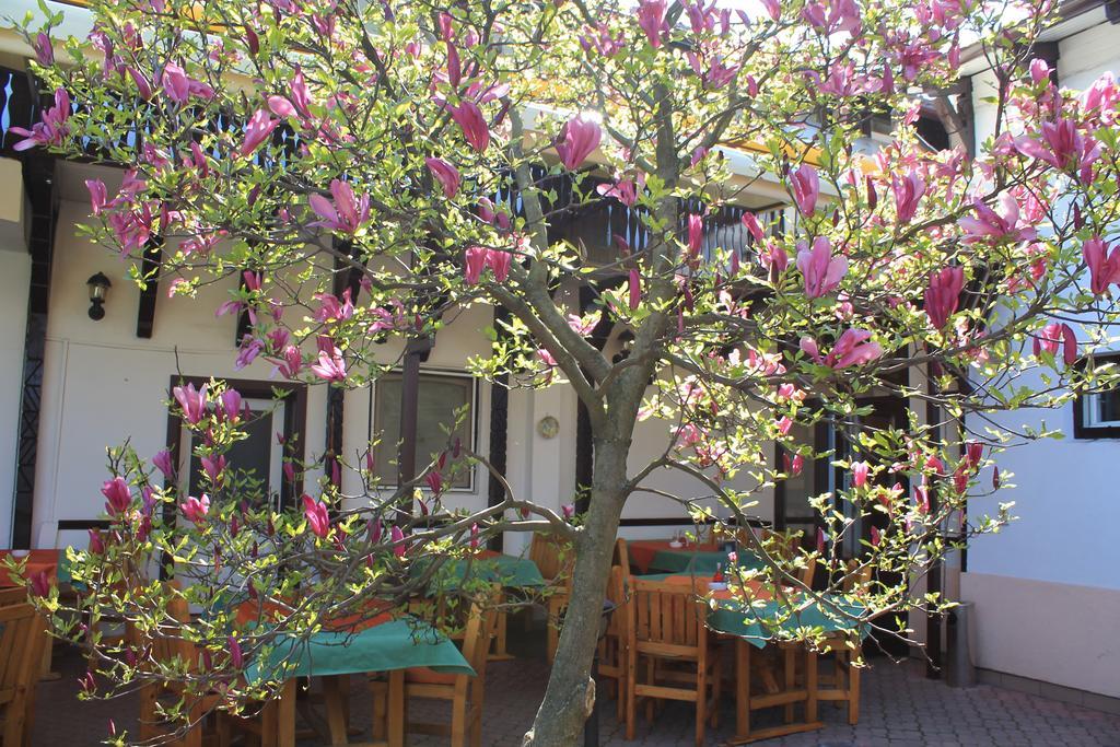 Pension Tip-Top Târgu-Mureş Esterno foto