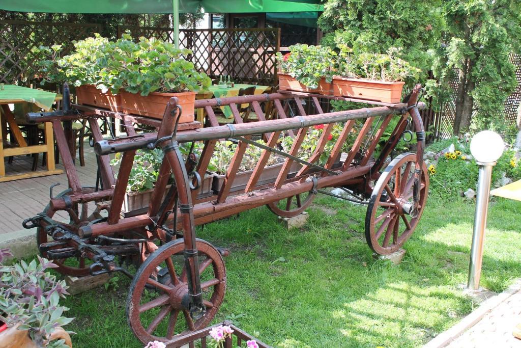 Pension Tip-Top Târgu-Mureş Esterno foto